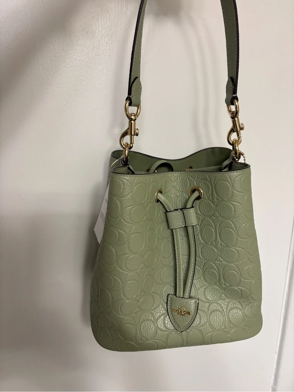 Coach  pistachio Sage Green Pebbled Leather Drawstring Bucket Bag